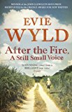 Book After the Fire, A Still Small Voice free