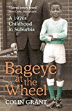 Book Bageye at the Wheel: A 1970s Childhood in Suburbia free