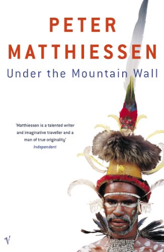 Book Under The Mountain Wall free