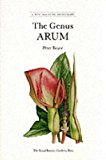 Book The Genus Arum (a Kew Magazine Monograph) free Book The Genus Arum (a Kew Magazine Monograph) free