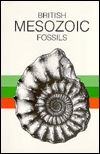 Book British Mesozoic Fossils free