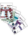 Book Itil Service Lifecycle Publication Suite (English and German Edition) free