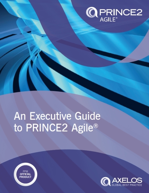 Book An Executive Guide to PRINCE2 Agile free