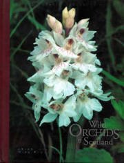 Book Wild Orchids of Scotland free