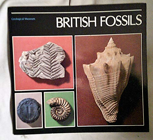 Book British Fossils free