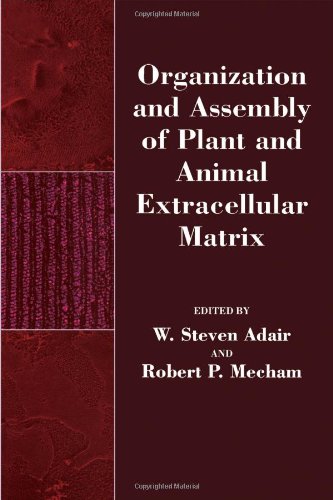 Book Organization and Assembly of Plant and Animal Extracellular Matrix (Biology of Extracellular Matrix) free