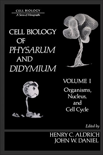 Book Cell Biology of Physarum and Didymium: Organisms, Nucleus, and Cell Cycle: 1 free