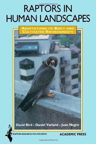 Book Raptors in Human Landscapes: Adaptation to Built and Cultivated Environments free
