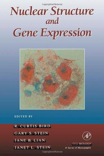 Book Nuclear Structure and Gene Expression: Nuclear Matrix and Chromatin Structure (Cell Biology) free