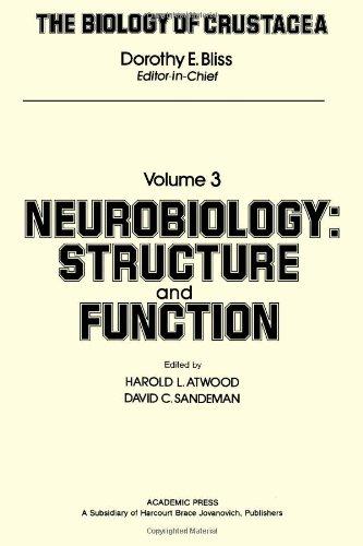 Book The Biology of Crustacea, Volume 3: Volume 3: Neurobiology, Structure and Function free