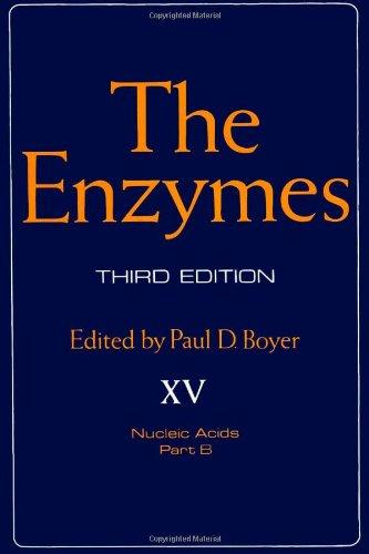 Book The Enzymes: Nucleic Acids, Vol. 15, Pt. B free