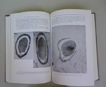 Book Structure and Ultrustructure of Microganism free