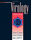 Book Virology: A Laboratory Manual free