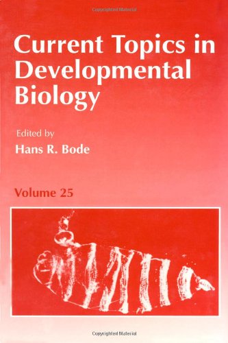Book CURRENT TOPICS DEVELOPMENTAL BIOLOGY V25, Volume 25 (Current Topics in Developmental Biology) free