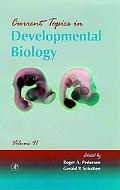 Book Current Topics in Developmental Biology (Volume 41) free