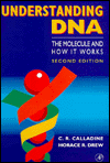 Book Understanding DNA, Second Edition: The Molecule and How It Works free