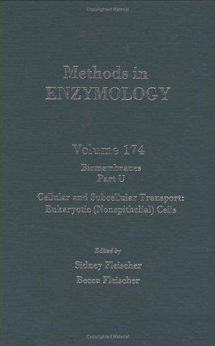 Book Methods in Enzymology, Volume 174: Biomembranes, Part U, Cellular and Subcellular Transport: Eukarytic (Nonepithelial) Cells free