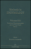 Book Vertebrate Phototransduction and the Visual Cycle, Part A (Volume 315) (Methods in Enzymology, Volume 315) free