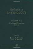 Book RNA - Ligand Interactions, Part A: Structural Biology Methods (Volume 317) (Methods in Enzymology, Volume 317) free