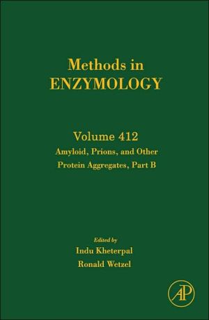 Book Amyloid, Prions, and Other Protein Aggregates, Part B (ISSN Book 412) free