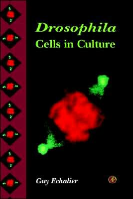Book Drosophila Cells in Culture free