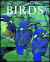 Book Encyclopedia of Birds, Second Edition (Natural World) free