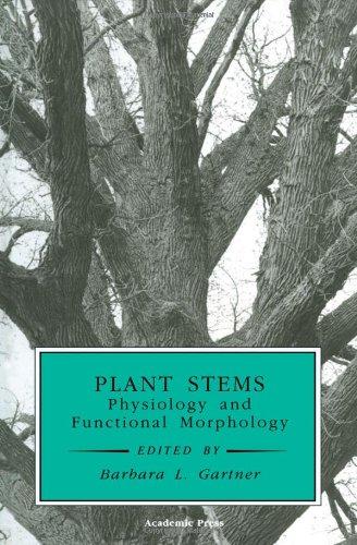 Book Plant Stems: Physiology and Functional Morphology (Physiological Ecology) free