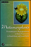 Book Metamorphosis: Postembryonic Reprogramming of Gene Expression in Amphibian and Insect Cells (Cell Biology) free
