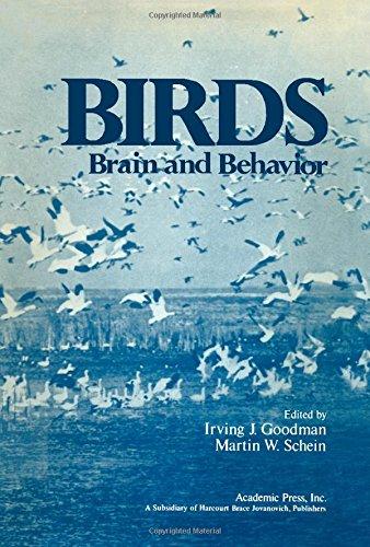 Book Birds: brain and behavior free