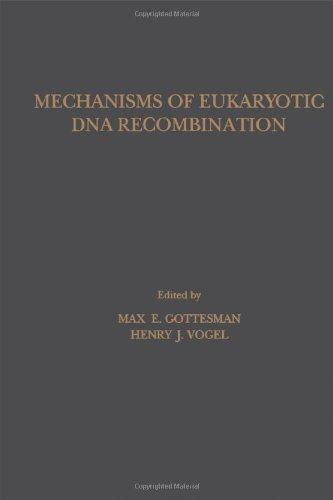 Book Mechanisms of Eukaryotic DNA Recombination free