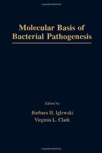 Book Molecular Basis of Bacterial Pathogenesis free