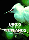 Book Birds of the Wetlands (Natural World) free
