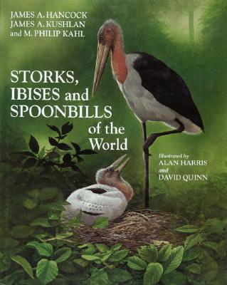 Book Storks, Ibises, and Spoonbills of the World free