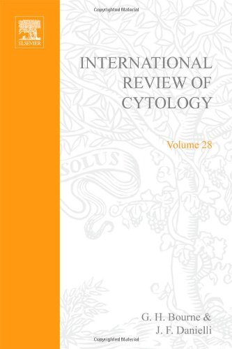 Book INTERNATIONAL REVIEW OF CYTOLOGY V28, Volume 28 free
