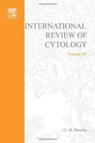 Book INTERNATIONAL REVIEW OF CYTOLOGY V49, Volume 49 free