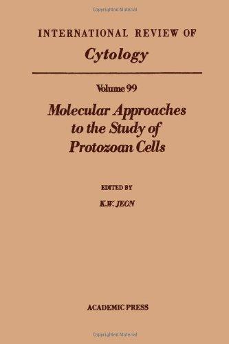 Book INTERNATIONAL REVIEW OF CYTOLOGY V99, Volume 99 free