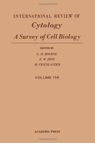 Book INTERNATIONAL REVIEW OF CYTOLOGY V114, Volume 114 free
