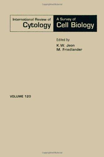 Book INTERNATIONAL REVIEW OF CYTOLOGY V120, Volume 120 free