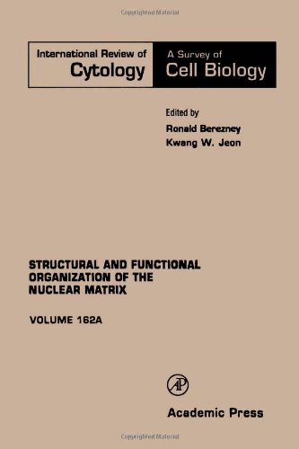 Book INTERNATIONAL REVIEW OF CYTOLOGY V162A, Volume 162A free