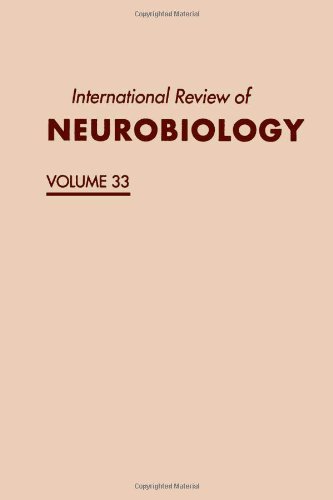 Book International Review of Neurobiology: Volume 33 free
