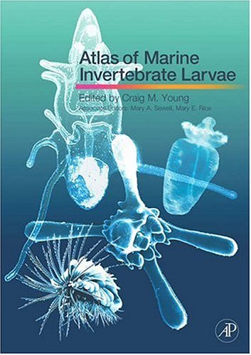 Book Atlas of Marine Invertebrate Larvae free
