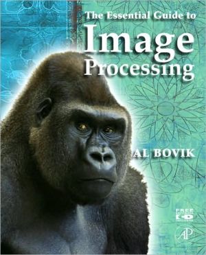 Book The Essential Guide to Image Processing free