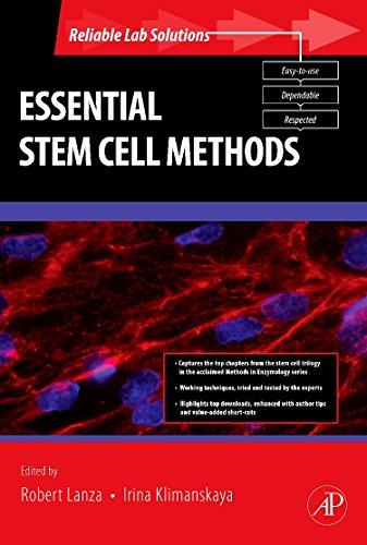 Book Essential Stem Cell Methods (Reliable Lab Solutions) free