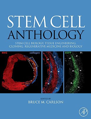 Book Stem Cell Anthology: From Stem Cell Biology, Tissue Engineering, Cloning, Regenerative Medicine and Biology free