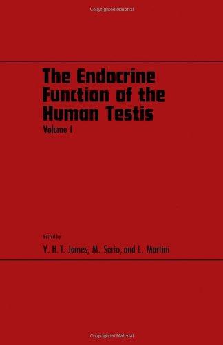 Book The Endocrine Function of the Human Testis free