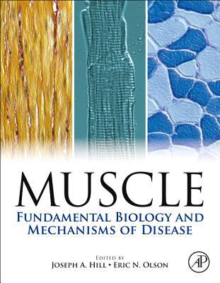 Book Muscle 2-Volume Set: Fundamental Biology and Mechanisms of Disease free