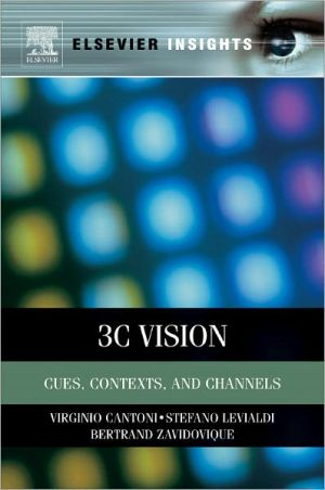 Book 3C Vision: Cues, Context and Channels (Elsevier Insights) free