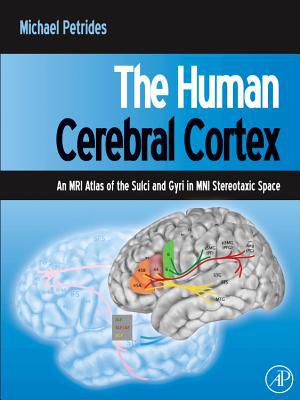 Book The Human Cerebral Cortex: An MRI Atlas of the Sulci and Gyri in MNI Stereotaxic Space free
