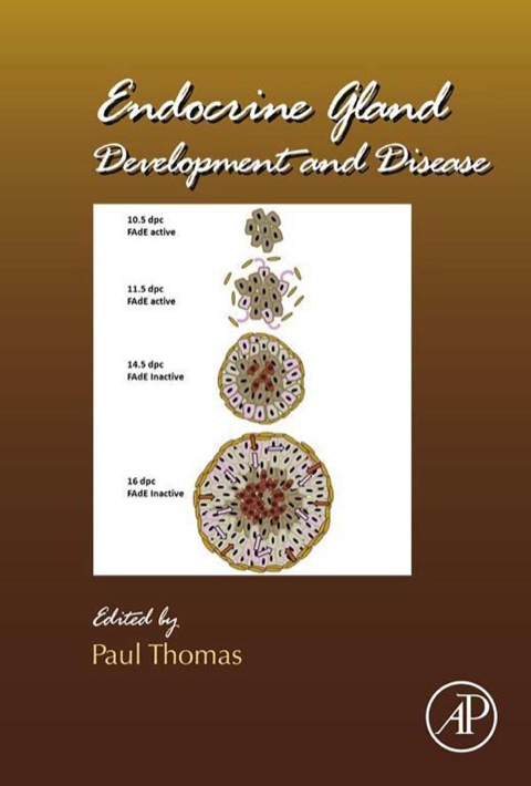 Book Endocrine Gland Development and Disease (ISSN Book 106) free