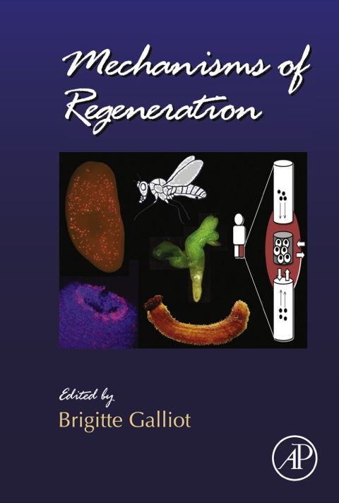 Book Mechanisms of Regeneration (Volume 108) (Current Topics in Developmental Biology, Volume 108) free